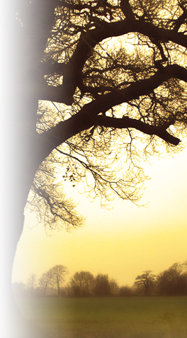 yoga-benefits yoga-benefits