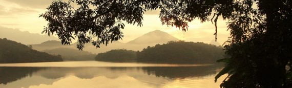 The Power of Full Relaxation