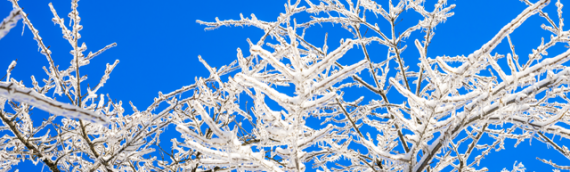 Help your body to heal from sickness