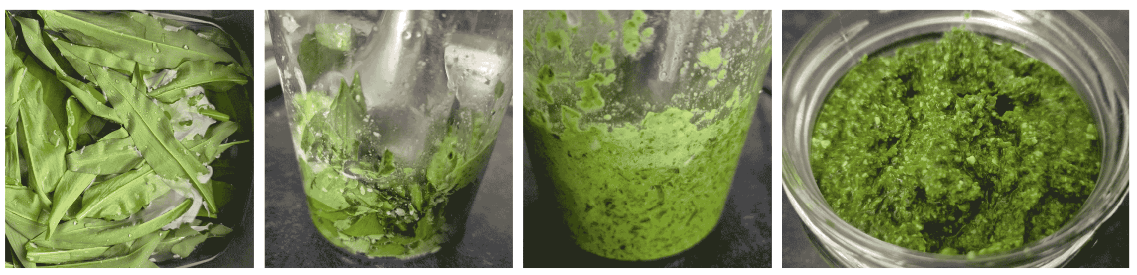 wild garlic pesto making